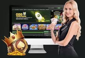 mym66 Dragon Tiger — မြန်မာ ကစားသမား live table ကစားနေသည်